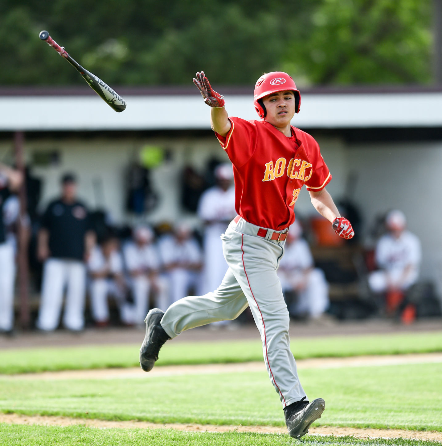 Class 4A Moline baseball regional